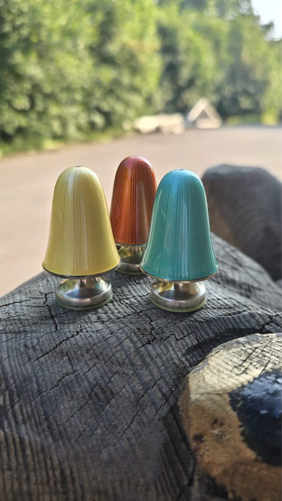 Lottas kuriosa 8