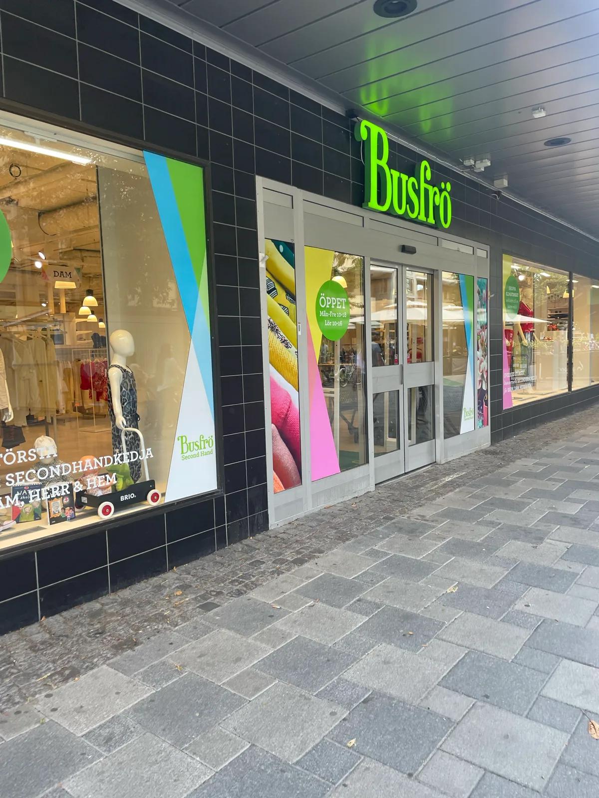 Busfrö 4