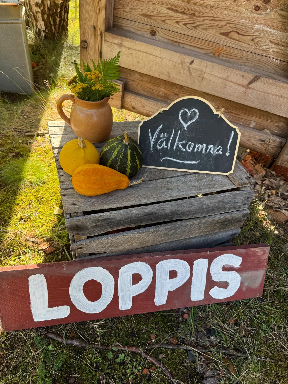 Loppis i Stall Saltvik 1