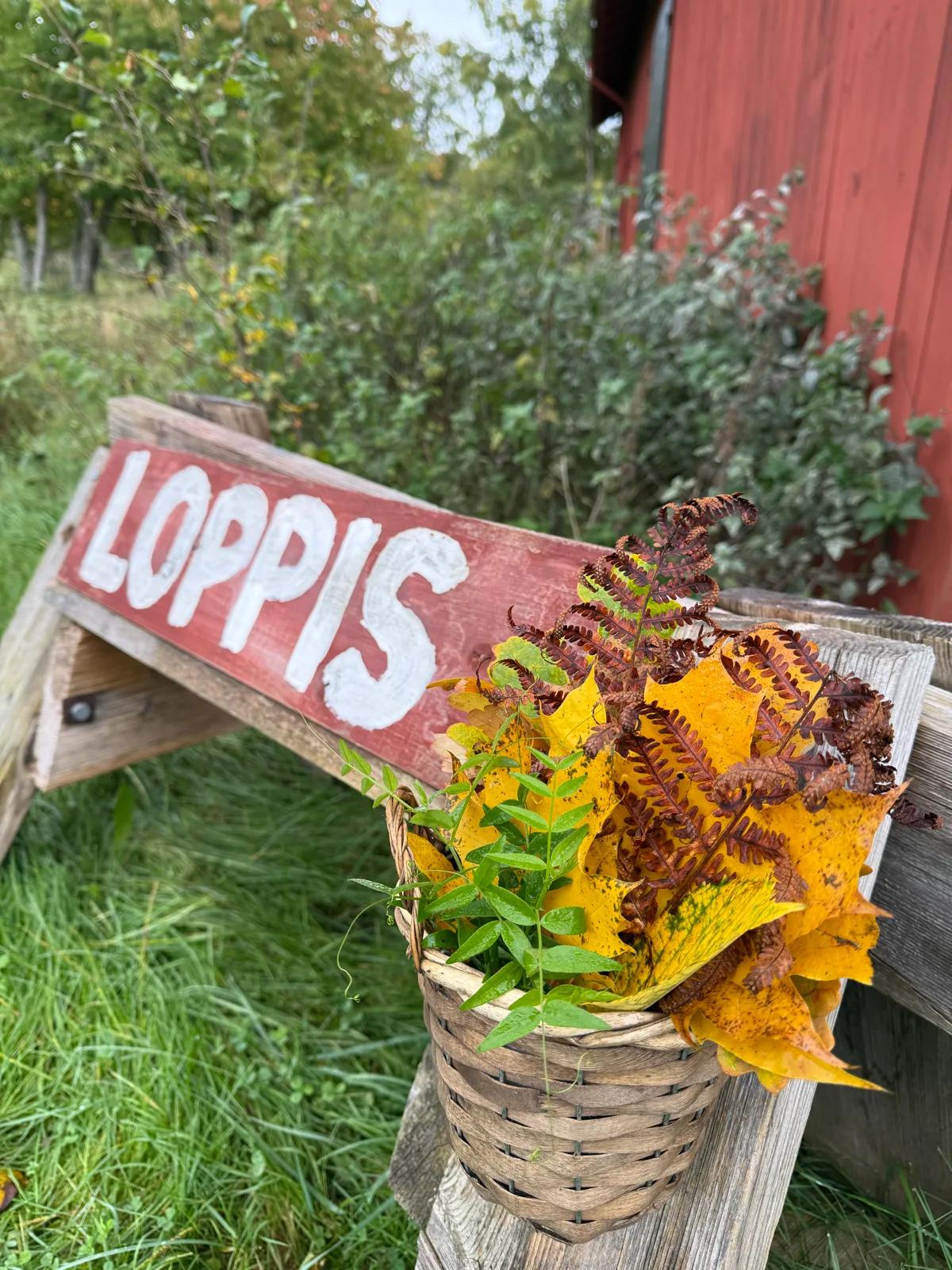 Loppis i Stall Saltvik 7
